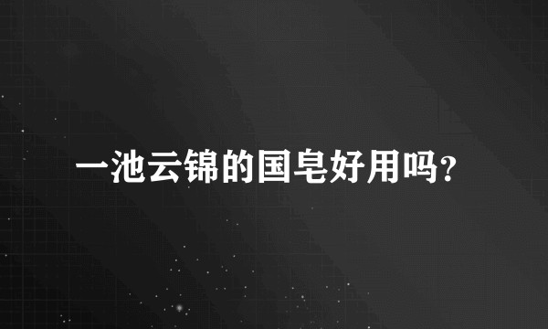 一池云锦的国皂好用吗?