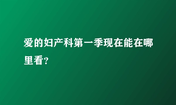 爱的妇产科第一季现在能在哪里看？