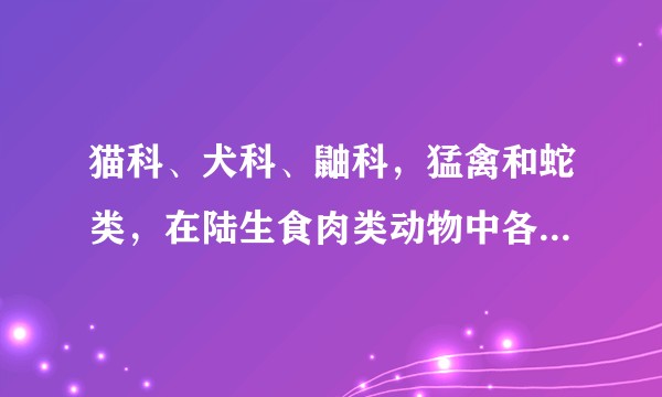 猫科、犬科、鼬科,猛禽和蛇类,在陆生食肉类动物中各自都有什么特点,并且各有什么战斗方面上的优势性方面?