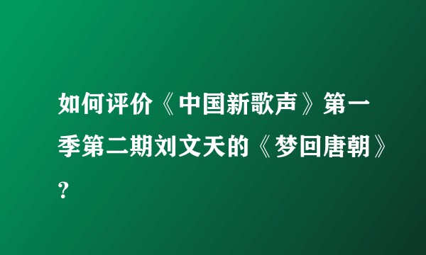 如何评价《中国新歌声》第一季第二期刘文天的《梦回唐朝》？