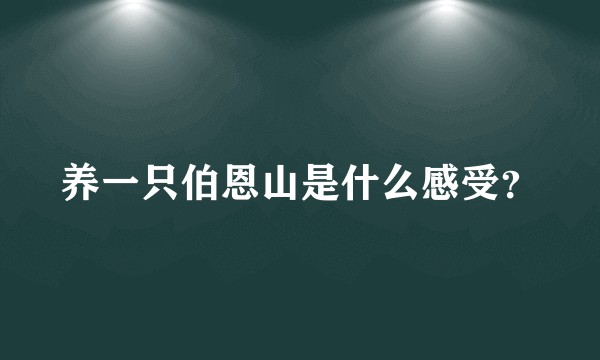 养一只伯恩山是什么感受？
