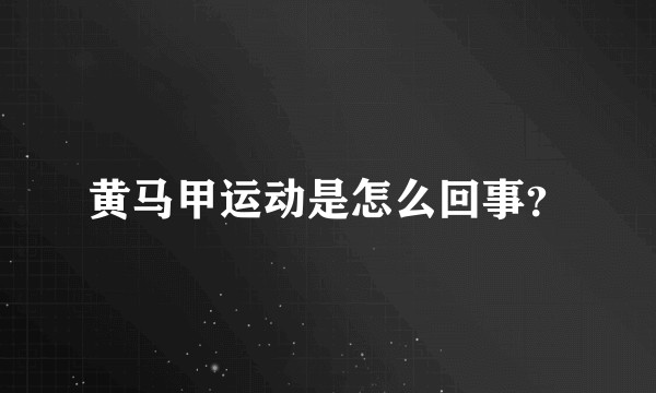 黄马甲运动是怎么回事？