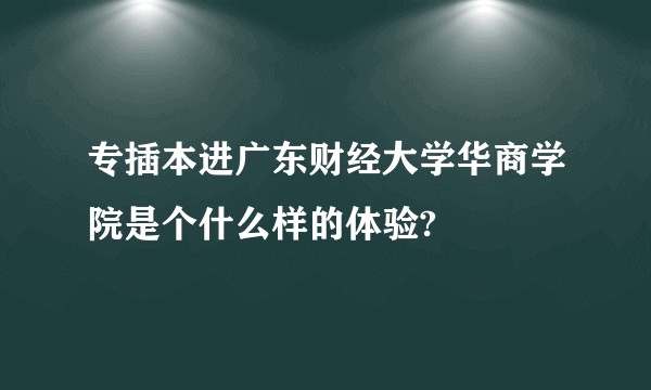 专插本进广东财经大学华商学院是个什么样的体验?