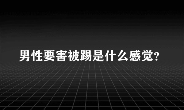 男性要害被踢是什么感觉？