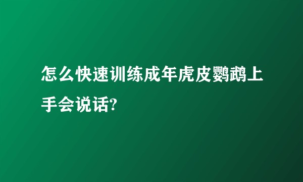 怎么快速训练成年虎皮鹦鹉上手会说话?