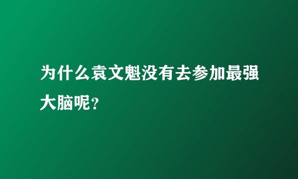 为什么袁文魁没有去参加最强大脑呢？