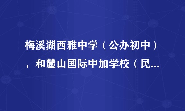 梅溪湖西雅中学（公办初中），和麓山国际中加学校（民办高中）你会怎么选，都是编外老师？