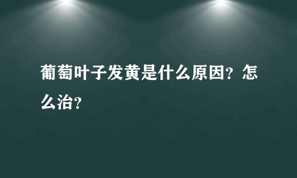 葡萄叶子发黄是什么原因？怎么治？
