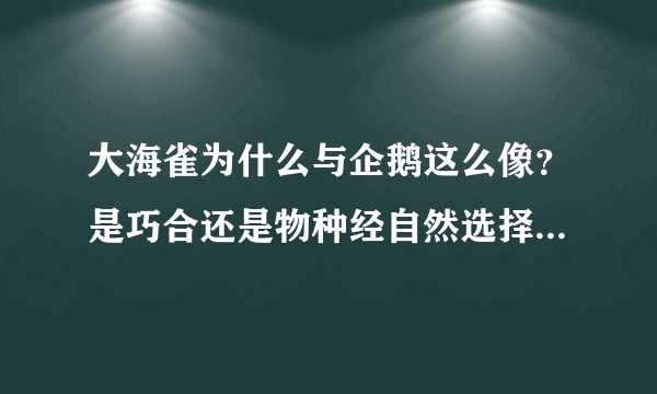 大海雀为什么与企鹅这么像？是巧合还是物种经自然选择的结果？