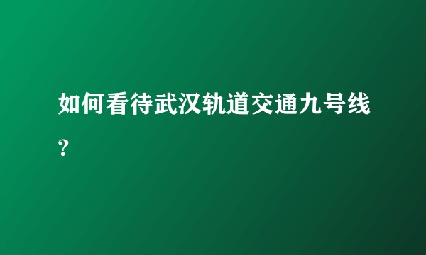 如何看待武汉轨道交通九号线？