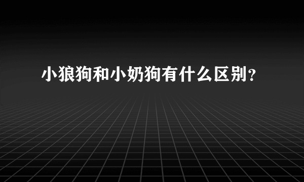 小狼狗和小奶狗有什么区别?
