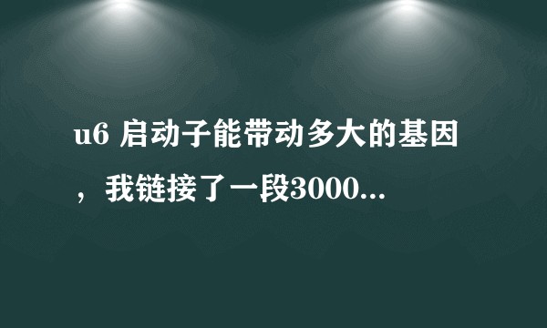 u6 启动子能带动多大的基因，我链接了一段3000左右的基因，发现带不动？