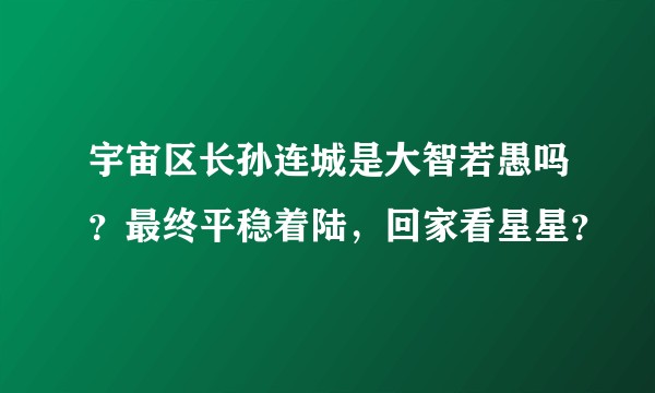 宇宙区长孙连城是大智若愚吗？最终平稳着陆，回家看星星？