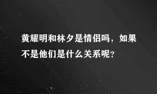 黄耀明和林夕是情侣吗，如果不是他们是什么关系呢？