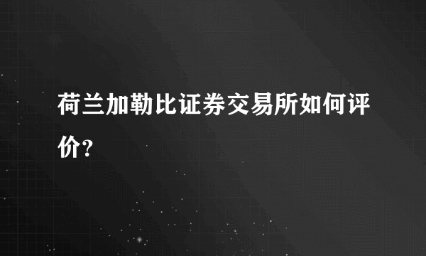 荷兰加勒比证券交易所如何评价？
