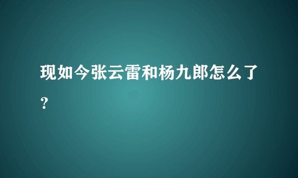 现如今张云雷和杨九郎怎么了？
