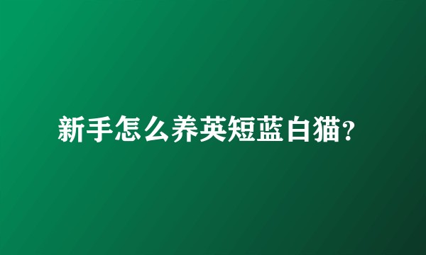 新手怎么养英短蓝白猫？
