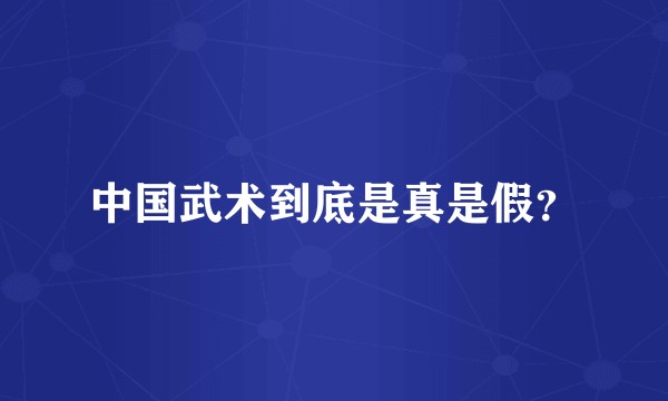 中国武术到底是真是假？