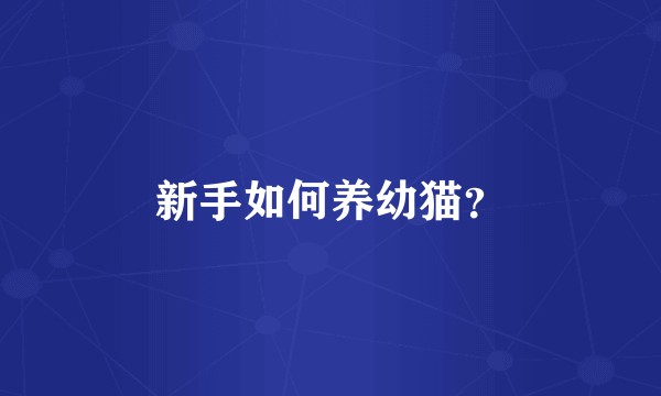新手如何养幼猫？