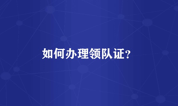 如何办理领队证？