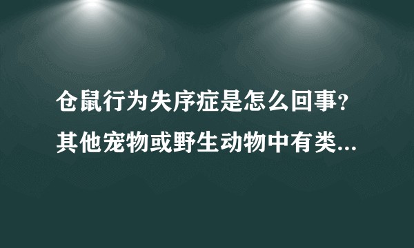 仓鼠行为失序症是怎么回事？其他宠物或野生动物中有类似疾病吗？