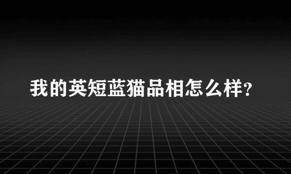 我的英短蓝猫品相怎么样？