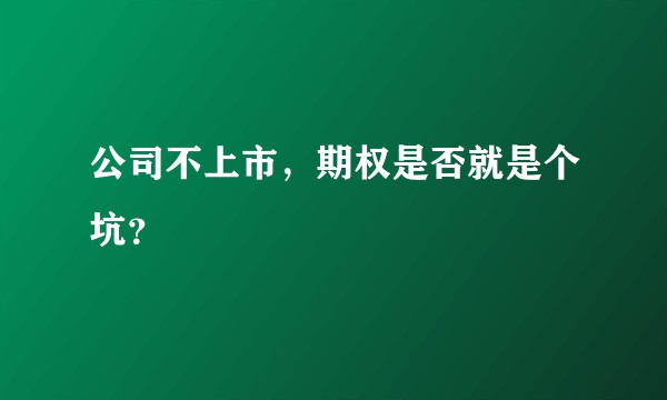 公司不上市，期权是否就是个坑？