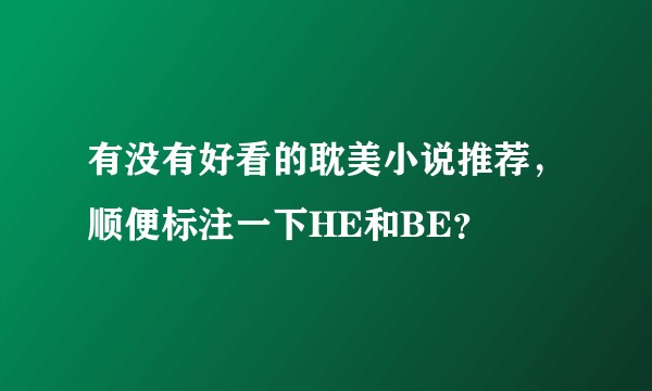 有没有好看的耽美小说推荐，顺便标注一下HE和BE？