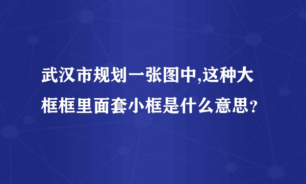 武汉市规划一张图中,这种大框框里面套小框是什么意思？