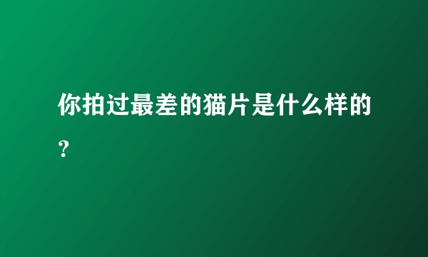 你拍过最差的猫片是什么样的？