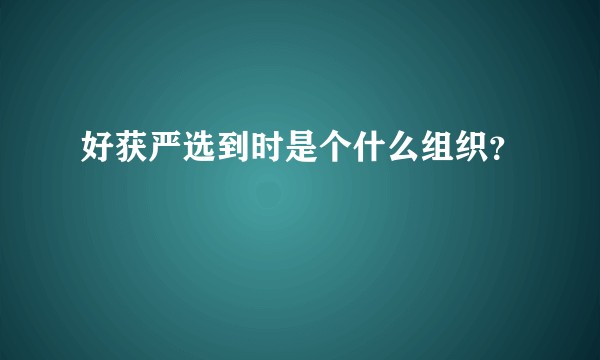好获严选到时是个什么组织？