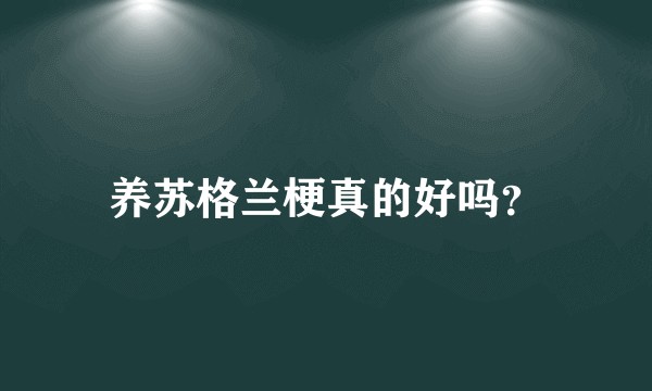 养苏格兰梗真的好吗?