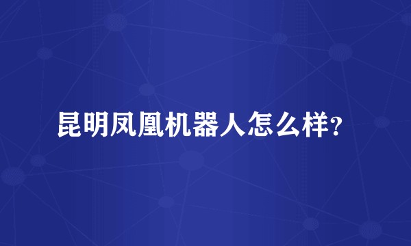 昆明凤凰机器人怎么样?
