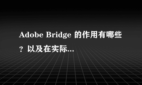 Adobe Bridge 的作用有哪些？以及在实际工作中该如何使用它？