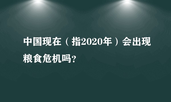 中国现在（指2020年）会出现粮食危机吗？