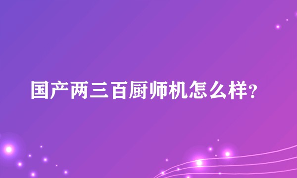 国产两三百厨师机怎么样?
