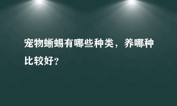 宠物蜥蜴有哪些种类，养哪种比较好？