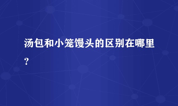 汤包和小笼馒头的区别在哪里？