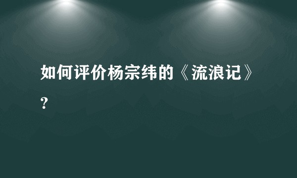如何评价杨宗纬的《流浪记》？