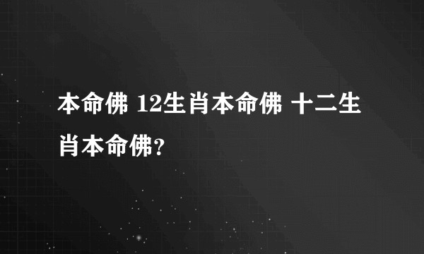 本命佛 12生肖本命佛 十二生肖本命佛？