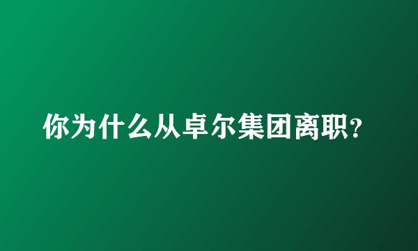 你为什么从卓尔集团离职？