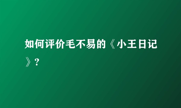 如何评价毛不易的《小王日记》?