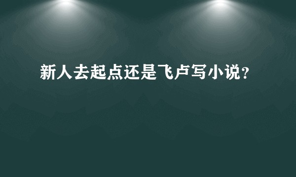 新人去起点还是飞卢写小说？