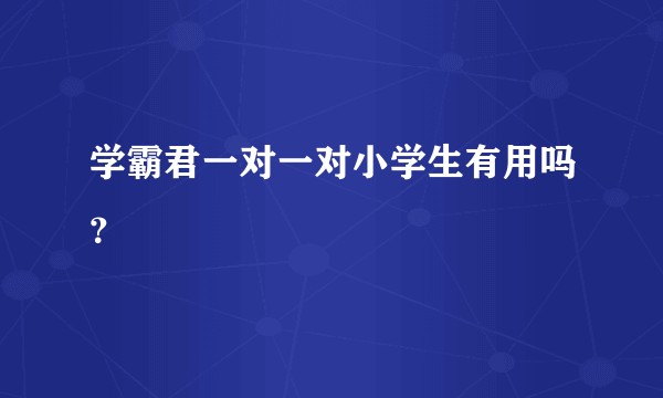 学霸君一对一对小学生有用吗？